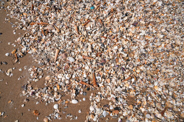 Sandy beach at low tide for background image.