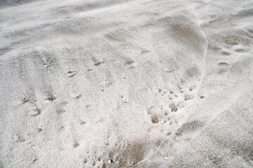 Sandy beach at low tide for background image.