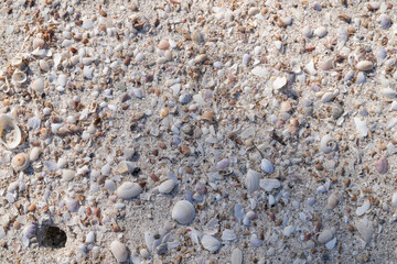 Sandy beach at low tide for background image.