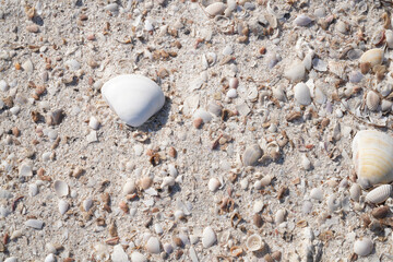 Sandy beach at low tide for background image.
