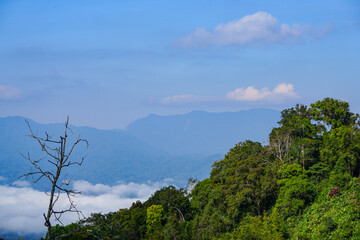 Obraz premium View of trees, mountains and clouds in the sky in Kaeng Krachan National Park, Thailand.