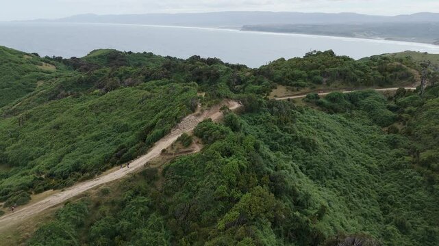 Scenic aerial perspective showcasing the lush greenery and winding path leading to Muelle De Las Almas in Chonchi, Los Lagos, Chile