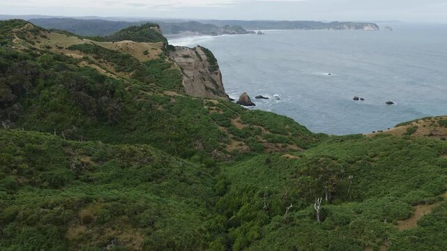 Aerial view of Lush vegetation covers rolling hills leading to dramatic cliffs overlooking the Pacific Ocean near Chonchi, Chile, creating a stunning coastal landscape