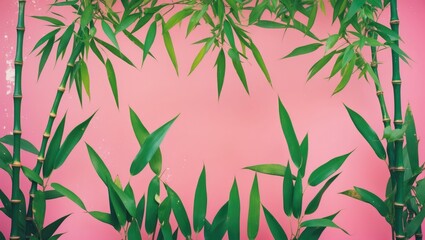 Fototapeta premium Fresh Green Bamboo Leaves Framed Against Bright Pink Background With Space For Text Or Design Applications