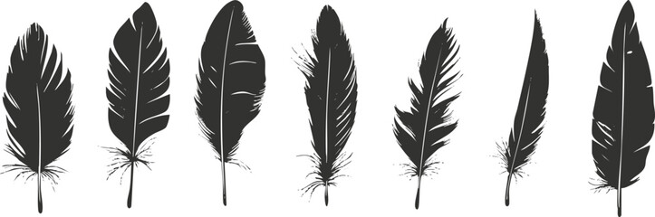 Obraz premium Set of black feather silhouettes in a vector illustration.