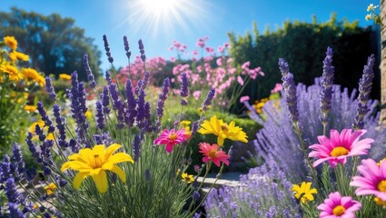 Vibrant Garden on a Sunny Day with Colorful Flowers Under Bright Sunlight and Clear Blue Sky Creating Idyllic Natural Scenery