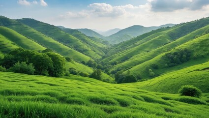 Naklejka premium Lush Green Hills Landscape Under Clear Blue Skies with Expansive Space for Text or Graphics