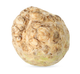 One fresh celery root isolated on white, above view
