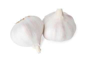 Fresh garlic bulbs isolated on white. Vegetable root