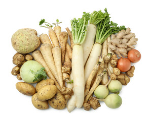 Many different root vegetables isolated on white, top view