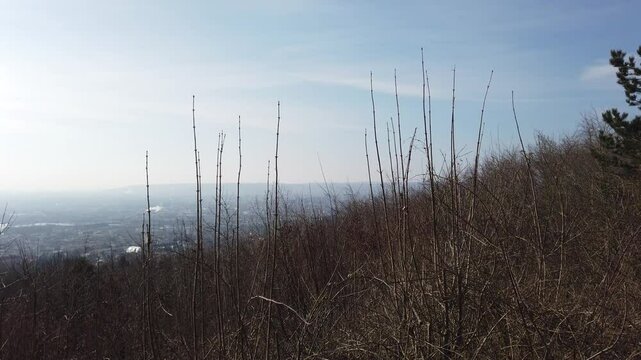 A panoramic view of Nancy from the Malz&eacute;ville Plateau, showcasing the cityscape with distant hills and a serene atmosphere.