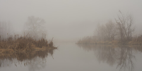 serene misty natural landscape. river or pond banks with dry reeds and bare trees. calm water with reflection and fog in wet weather. beautiful side panoramic view in 10x5 format
