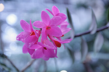 Heating through the Winter Survival is cloudy