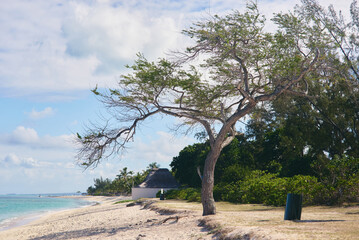 Idyllic beach close to Le Morne Brabant mountain, showcasing pristine sands and clear blue waters in Mauritius