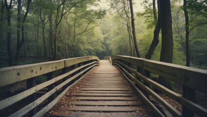 Serene Forest Bridge Over Nature Trail with Lush Greenery and Space for Copy in Tranquil Landscape Scene
