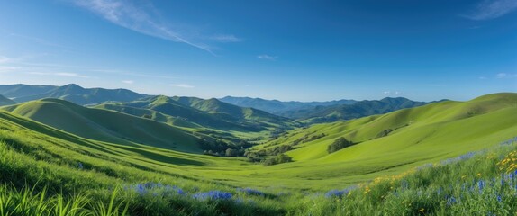 Vibrant Summer Panorama of Lush Green Hills and Rolling Mountains Under Clear Blue Sky