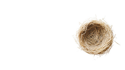  a bird's nest isolated on a transparent background