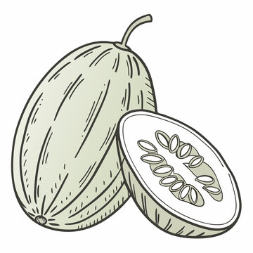 malabar gourd 