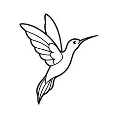 Obraz premium hummingbird hovering