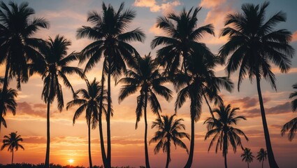 Obraz premium Silhouetted Palm Trees Against Vibrant Sunset Sky Aesthetic Tropical Nature Scene Relaxing Outdoor Background Image