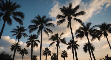 Obraz premium Silhouetted Palm Trees Against a Dramatic Sky with Clouds Creating a Serene Tropical Atmosphere at Dusk