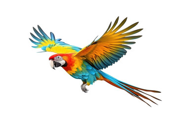 Fototapeta premium colorful flying parrot isolated on white or transparent png