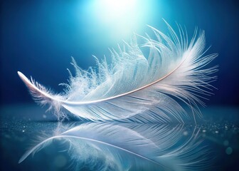 Delicate White Feather, Floating, Soft Light, Transparent Background, Intricate Details, High Resolution Stock Photo