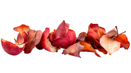 Red apple peels scattered on a transparent background. The peels are various shapes and sizes, showing textures and subtle color variations, PNG