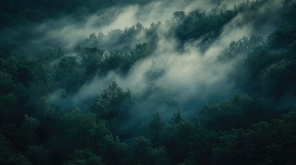 Fototapeta premium Mystical forest shrouded thick mist, enchanting atmosphere. Dark green treetops, swirling fog, mystery and adventure. Wood landscape. Nature, tranquility, unexplored wilderness.