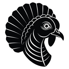turkey vector illustration