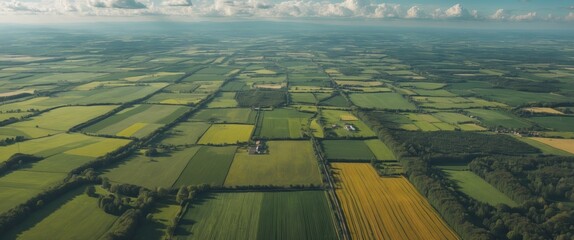 Fototapeta premium Aerial view of vibrant agricultural landscape featuring fields, meadows, and farms under blue skies with selective focus on greenery.