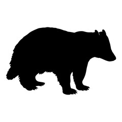 Silhouette of a badger in profile, with distinctive long snout and short legs, symbolizing tenacity, forest life, and natural adaptation.