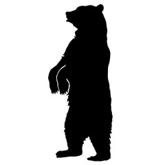 Silhouette of a bear standing on its hind legs, with front paws raised and head turned left, symbolizing strength, wilderness, and primal power.