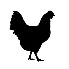 Silhouette of a rooster with tail raised and head turned to the right, depicted in profile on a white background, symbolizing morning, farm life, and vitality.