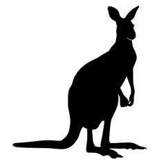 Silhouette of a kangaroo standing on its hind legs with a long tail extended back, captured in a dynamic pose against a natural Australian backdrop.

