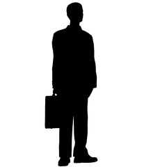 Silhouette of an alpaca with a fluffy body and long neck standing gracefully in profile, surrounded by a serene farm environmen