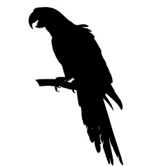 Silhouette of a parrot sitting on a branch, showing a curved beak and long tail, symbolizing tropical birds and their vibrant nature, associated with freedom and communication