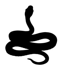 Silhouette of a Snake with Raised Head and Curved Body. Nature, Wildlife