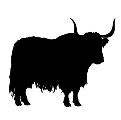 Yak: Silhouette of a Yak with Long Fur and Large Curved Horns
