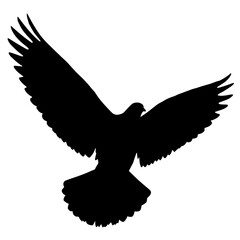 Silhouette of a white dove in flight with spread wings and tail, symbolizing peace, hope, and divine messages, rooted in ancient and biblical traditions.