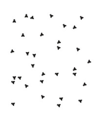 Obraz premium Housefly pattern stock illustration