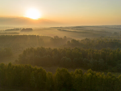 Sunlit fog over rural fields and meadows at dawn - Powered by Adobe