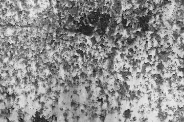 Abstract background. Monochrome texture. Image includes a effect the black and white tones.