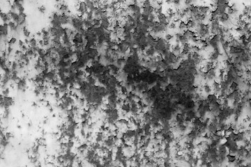 Abstract background. Monochrome texture. Image includes a effect the black and white tones.