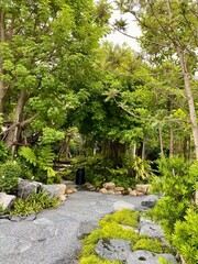 Fototapeta premium beautiful japanese garden in summer