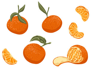 Fresh, juicy tangerine slices cut into pieces with vibrant orange citrus hues. Fruit vector illustration set for stickers, packaging, recipe cards, labels, and holiday gifts
