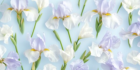 A beautiful arrangement of delicate irises on a soft blue background. This serene image captures the essence of spring. Perfect for nature lovers or floral enthusiasts. AI