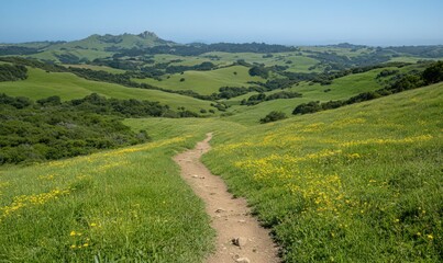 Naklejka premium Winding Path Through a Wildflower Meadow Leading to Rolling Green Hills