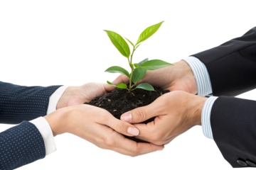 Two business-suited hands cradle soil with a green sapling, symbolizing growth, sustainability, and teamwork in a corporate setting, isolated on a transparent background