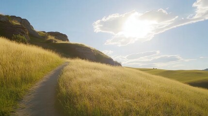 Fototapeta premium Stunning Golden Grassland Trail Through Rolling Hills Under Sunlight